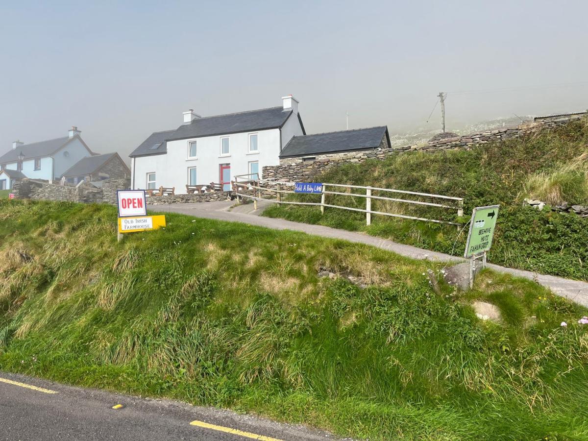 Old Irish Farmhouse 딩글 외부 사진