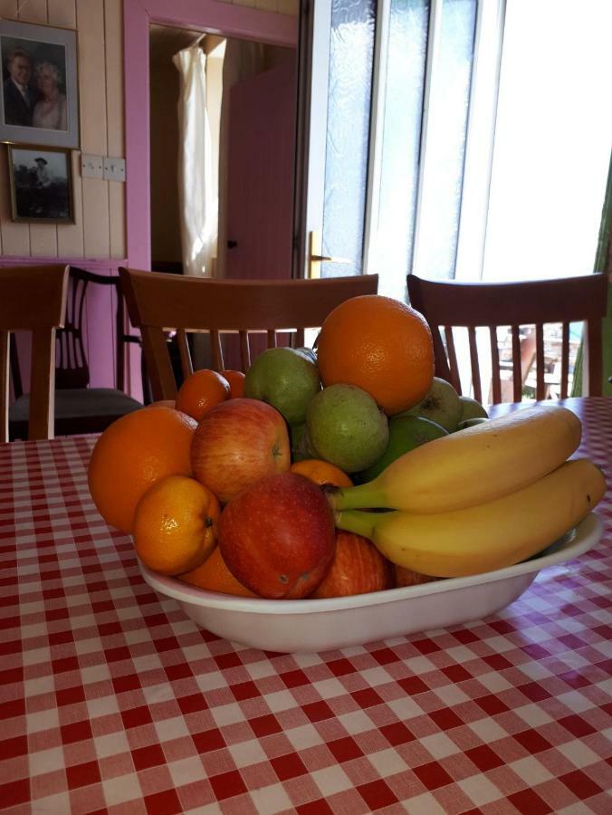 Old Irish Farmhouse 딩글 외부 사진